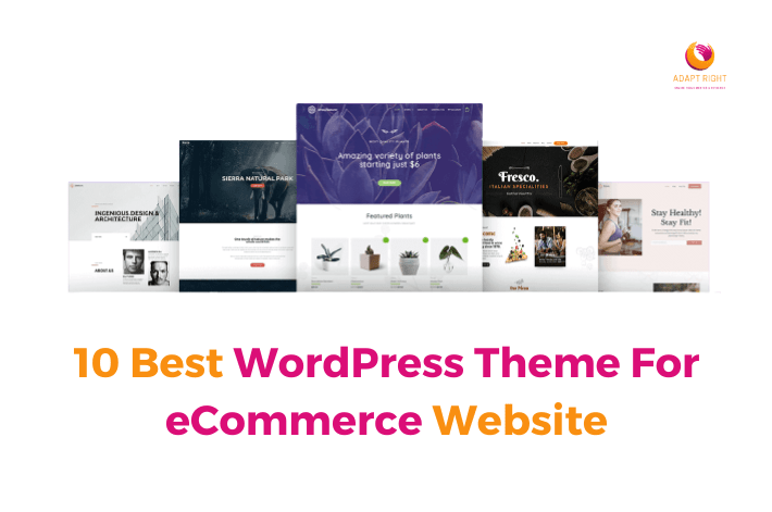 Best WordPress Theme For eCommerce Website
